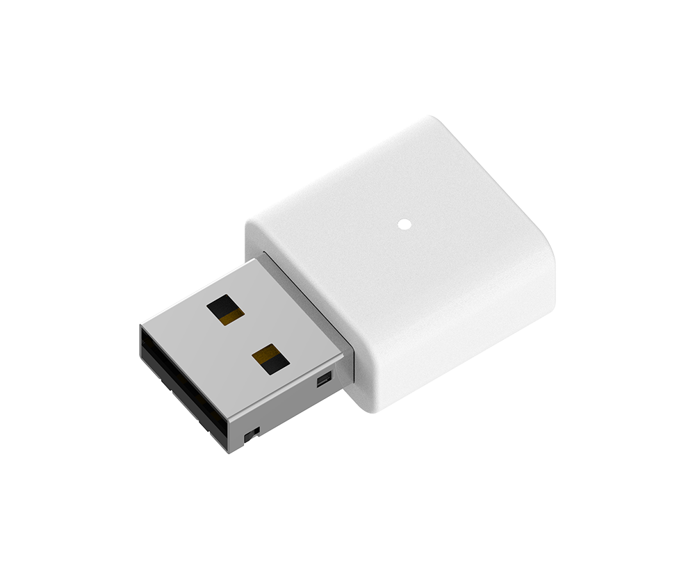 N300 Wi-Fi 4 USB Adapter AN3U