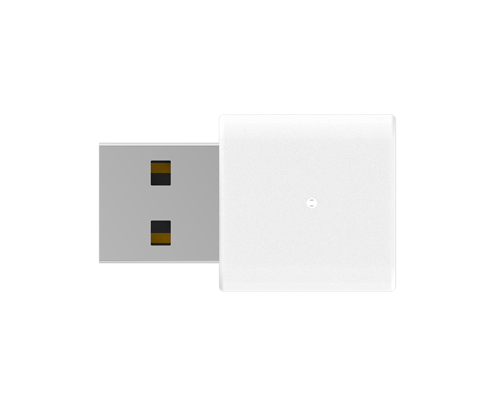 N300 Wi-Fi 4 USB Adapter AN3U